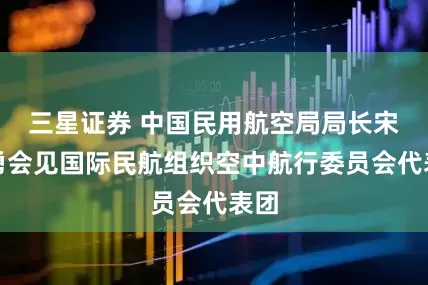 三星证券 中国民用航空局局长宋志勇会见国际民航组织空中航行委员会代表团