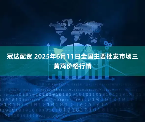 冠达配资 2025年6月11日全国主要批发市场三黄鸡价格行情
