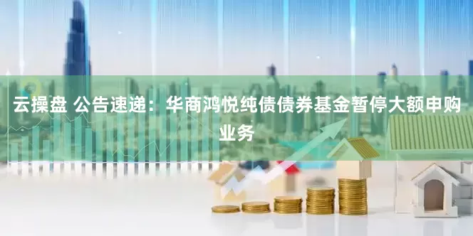 云操盘 公告速递：华商鸿悦纯债债券基金暂停大额申购业务